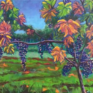 Grapevines Growing In Nature