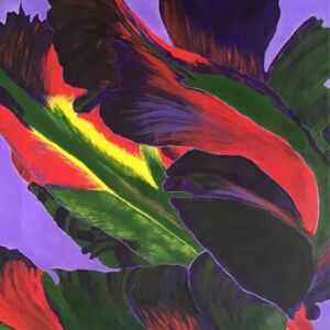 Colourful Tulip Closeup