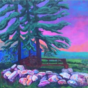Farm Field Spreader Among Rocks & Trees