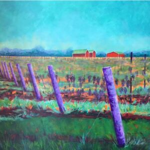 Grapevines Growing In Country
