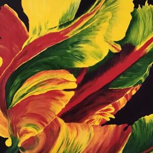 Green, Red & Yellow Tulip Closeup